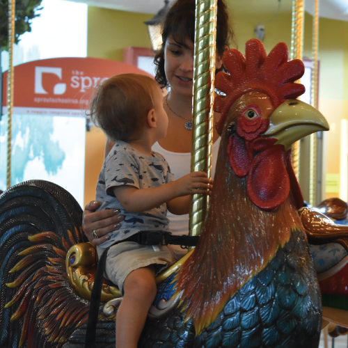 https://www.childrensmuseumofrichmond.org/wp-content/uploads/2019/10/carousel2.png