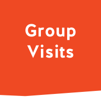 group-visits