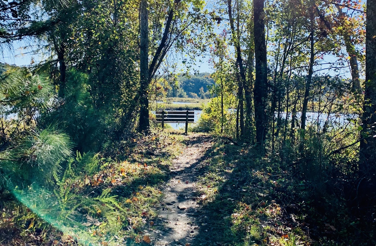 Trail path to a bench overlooking a lake. Spring hike for toddlers.