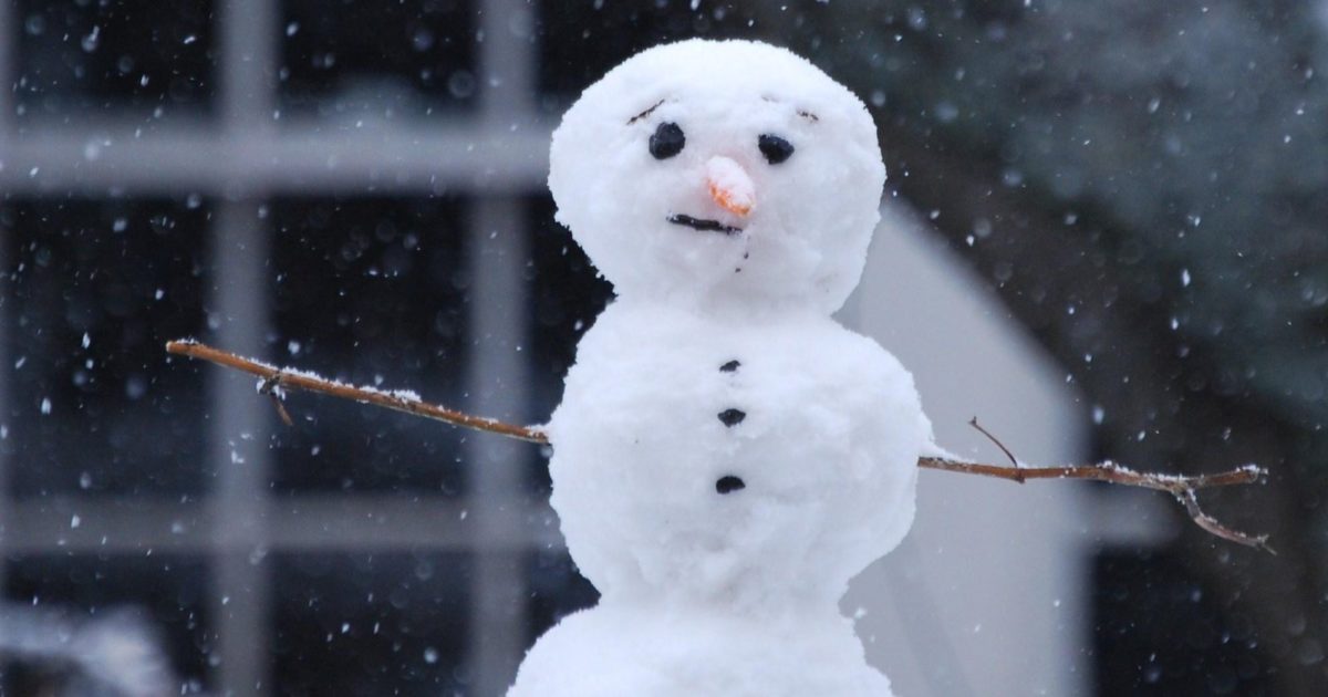 The Wonders of a Snow Day Children's Museum of Richmond