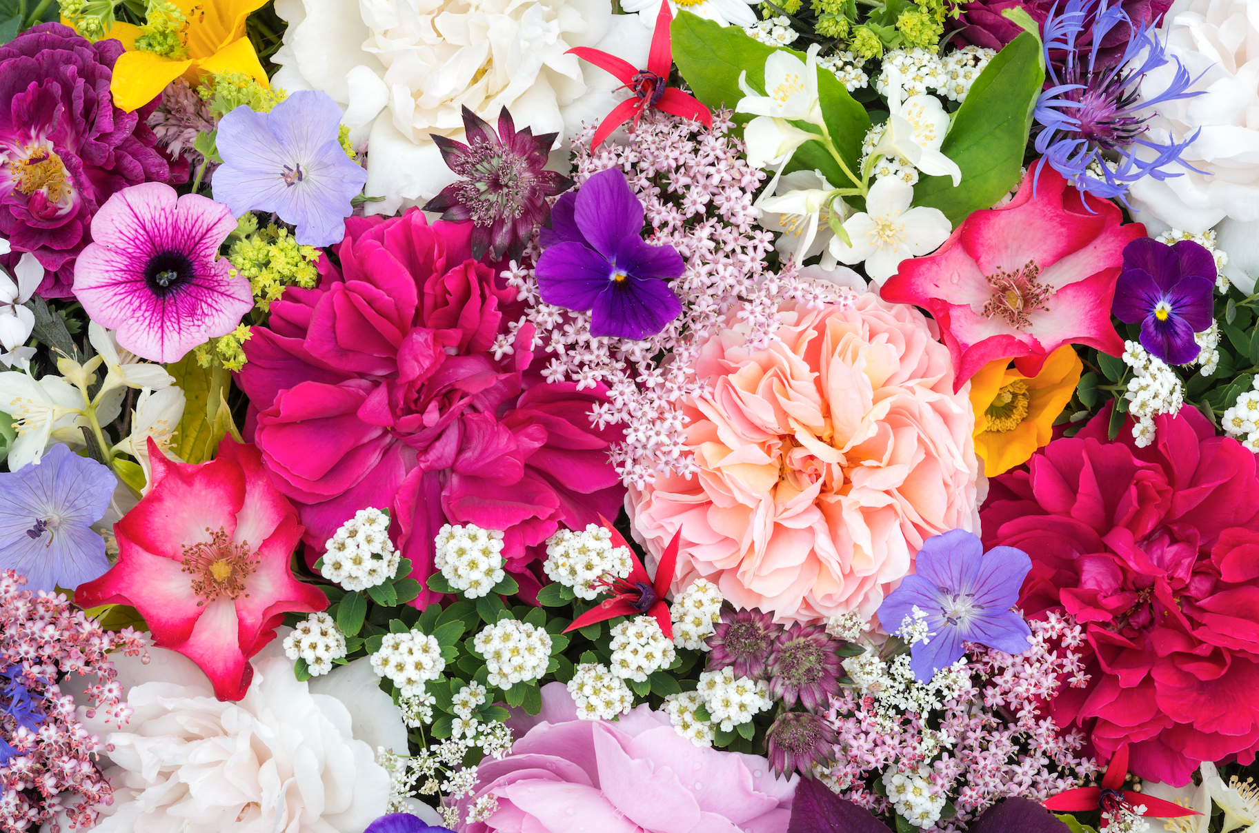 Colorful perennial flower arrangement featuring roses, petunias, and other blooms.