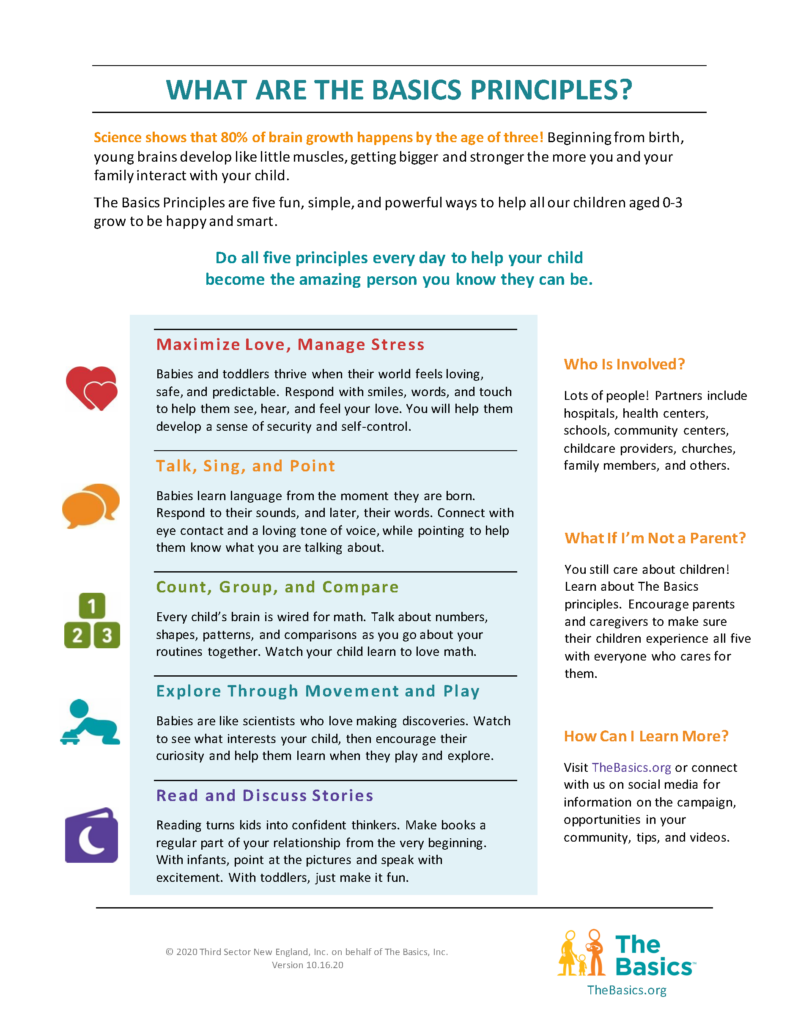 Five Basics Principles infographic explaining daily habits for early childhood brain development.