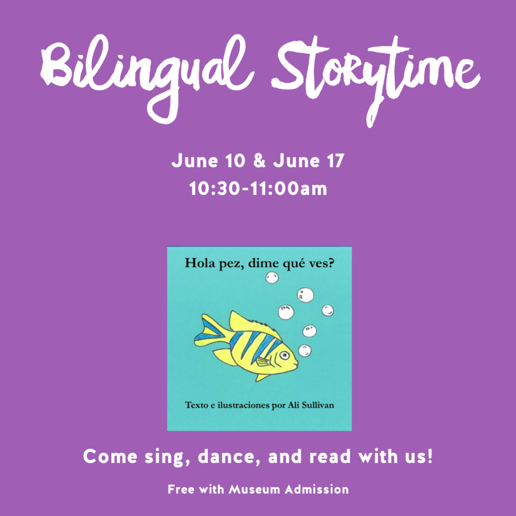 Bilingual Storytime (10)