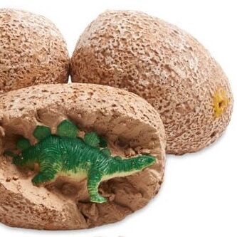 Dino Eggs