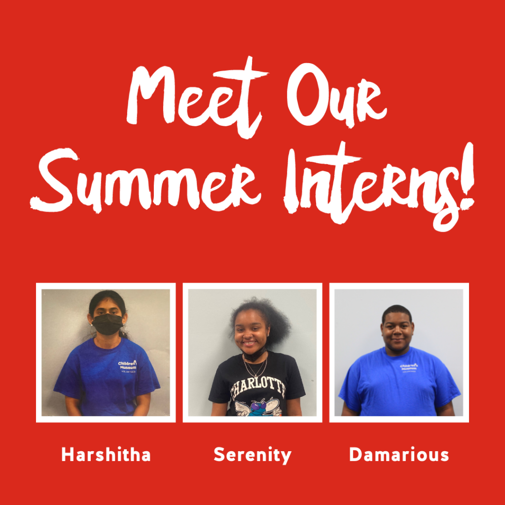 Summer Interns