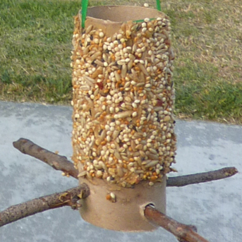 bird feeder