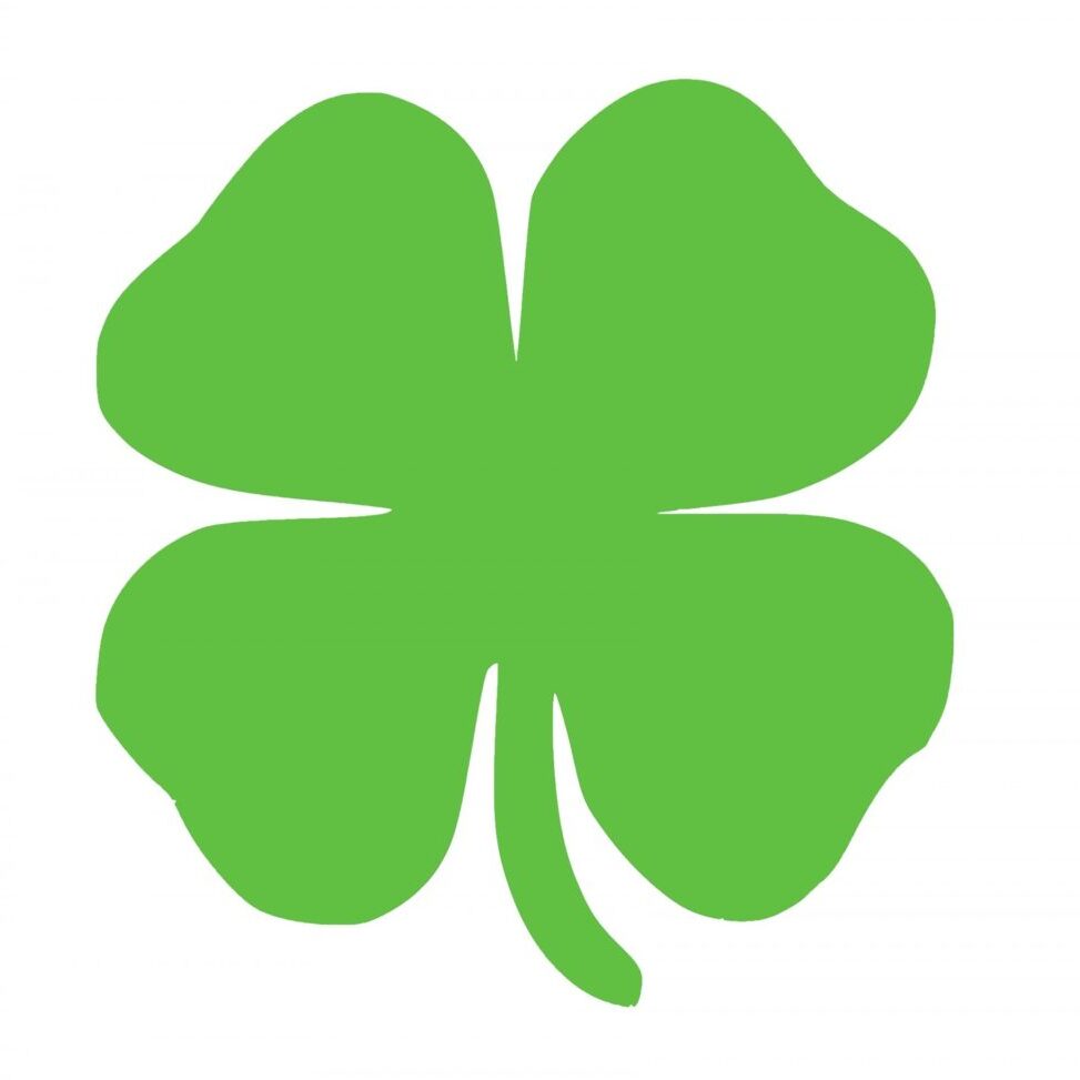 shamrock