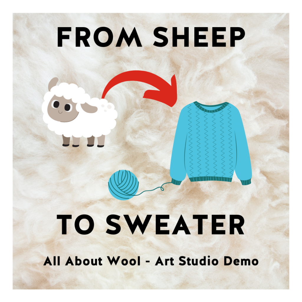 sheep to sweater